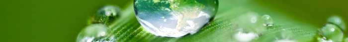 image descripton