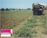 image descripton
