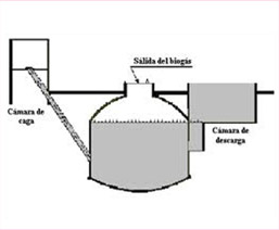 image descripton